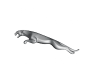 The Jaguar doctor